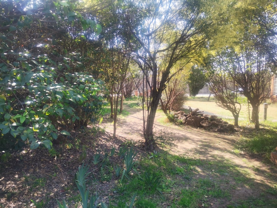 3 Bedroom Property for Sale in Senekal Free State